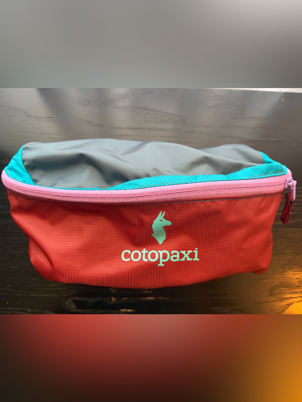 cotopaxi Del Dia Bataan Waist or Crossbody Pack NWT